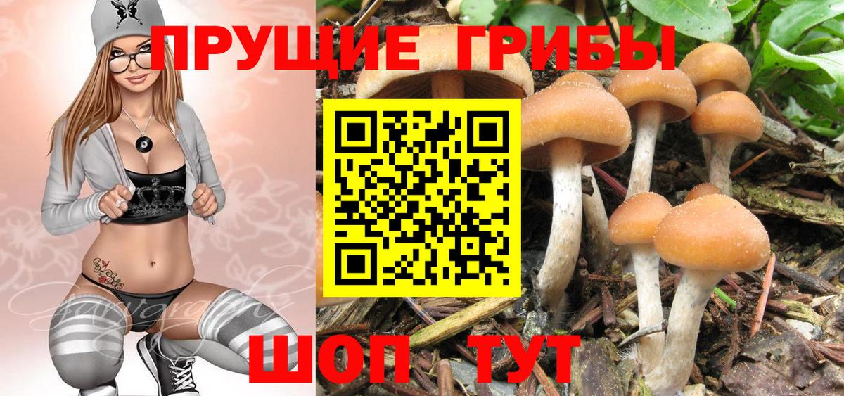 Галлюциногенные грибы MAGIC MUSHROOMS  Вход с VPN  Галлюциногенные грибы GOLDEN TEACHER  Дубна 