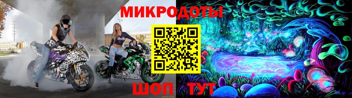 Псилоцибиновые грибы Psilocybe Дубна